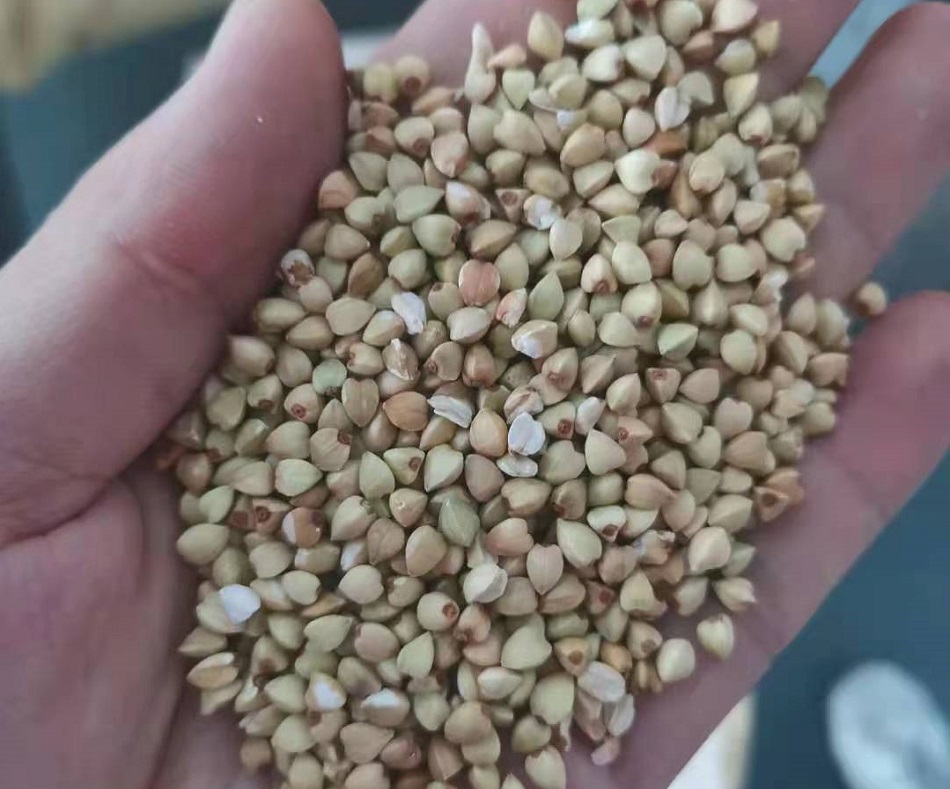許昌智工電磁炒貨機(jī)